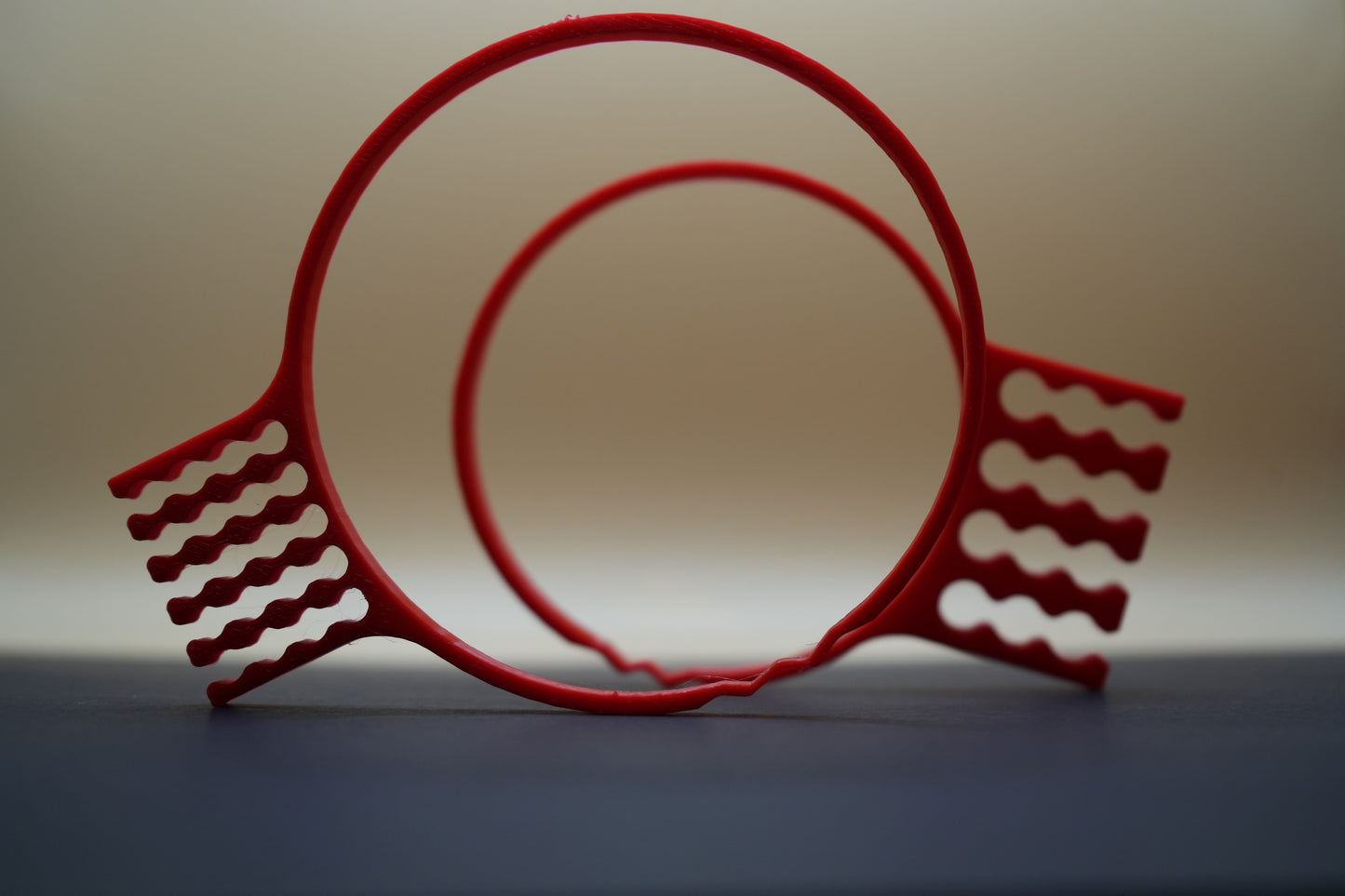 Cable Organizer for ZWO cameras (PAIR)