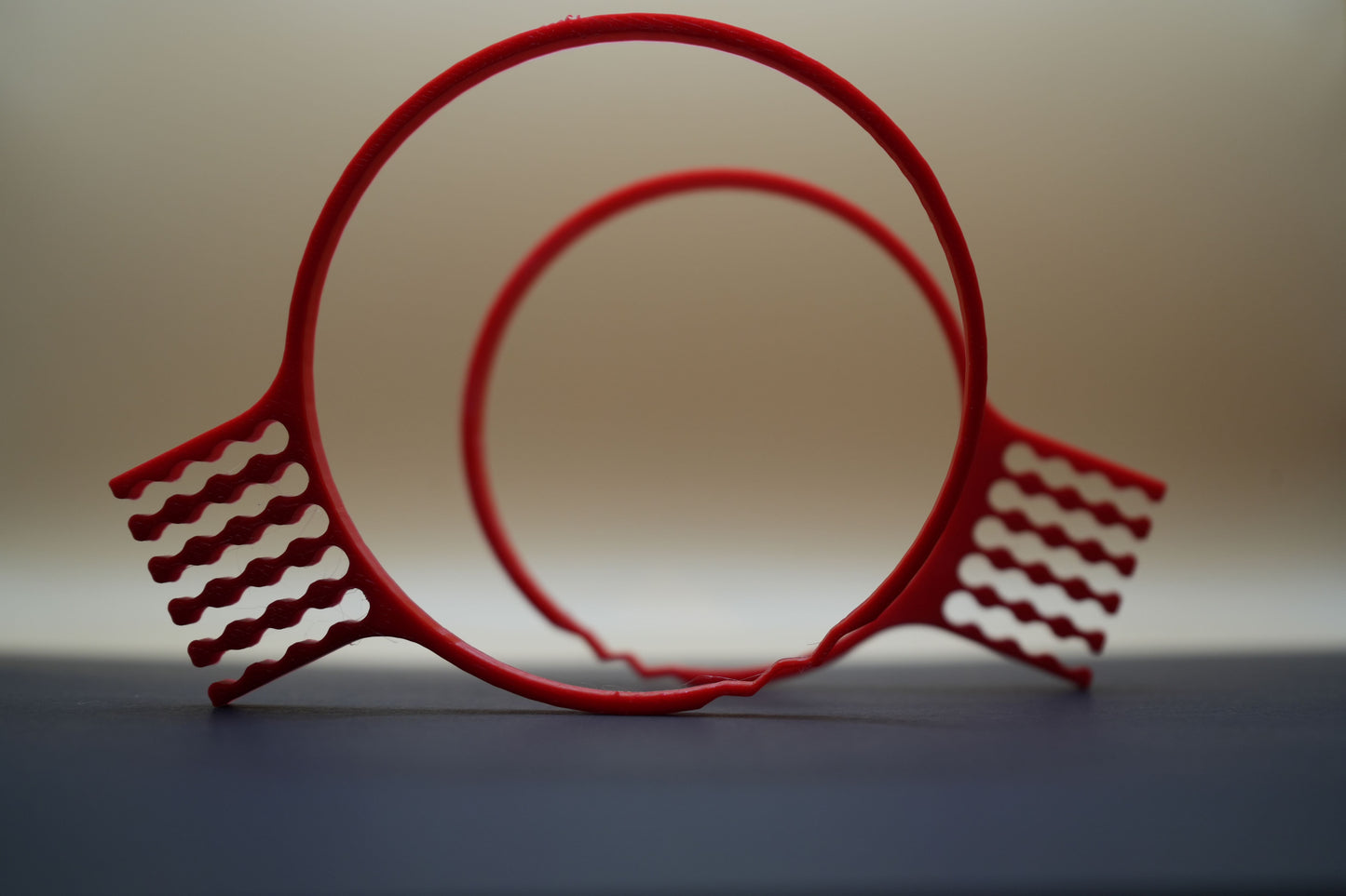 Cable Organizer for ZWO cameras (PAIR)