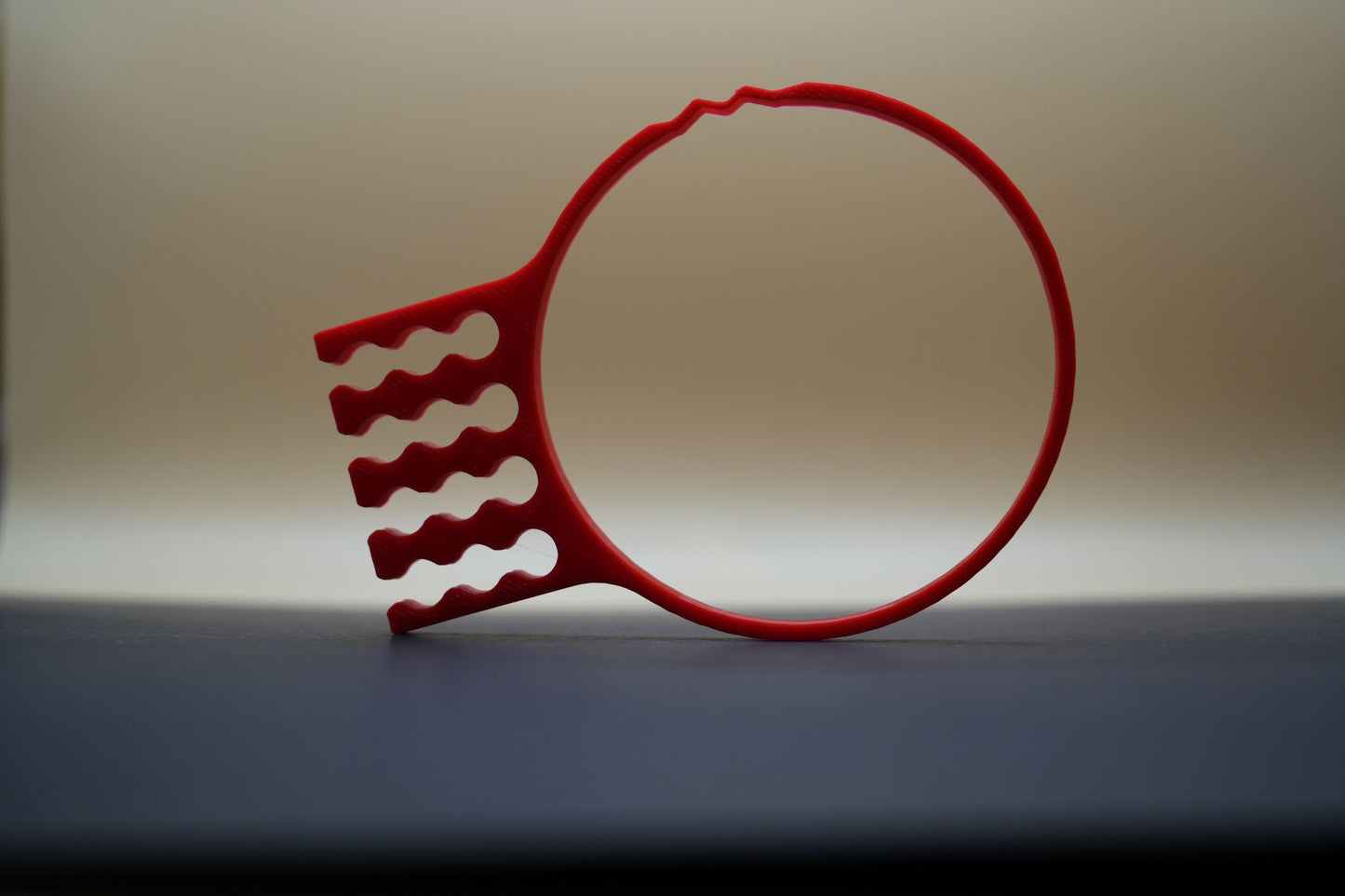 Cable Organizer for ZWO cameras (PAIR)