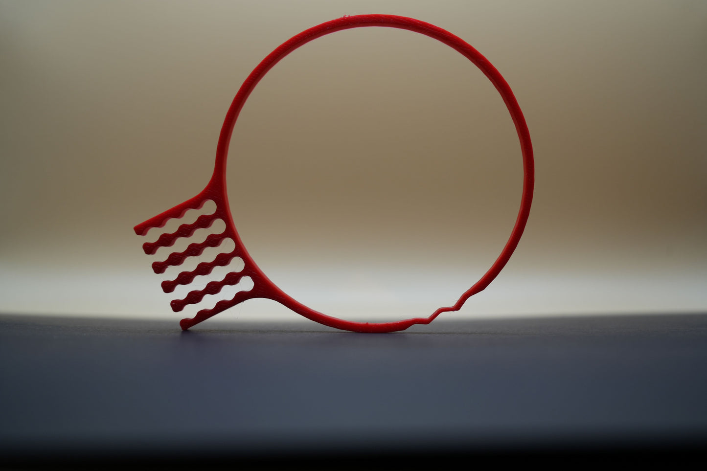 Cable Organizer for ZWO cameras (PAIR)